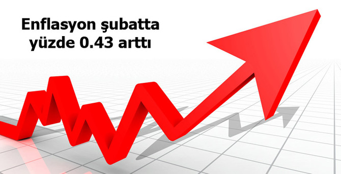 Enflasyon şubatta yüzde 0.43 arttı