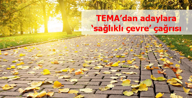 TEMA Vakfı’ndan belediye başkan adaylarına çağrı
