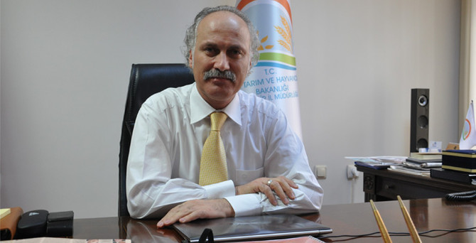 Eskişehir’de aspir üretimine talep arttı