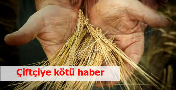 Elektrik borcu olan çiftçiye kötü haber