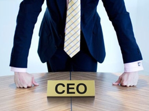 Genç liderler CEO'larla buluşuyor