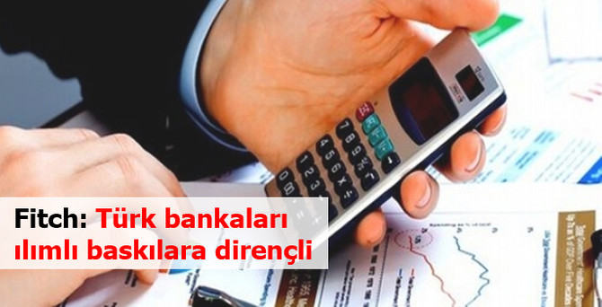 Türk bankaları ılımlı baskılara dirençli