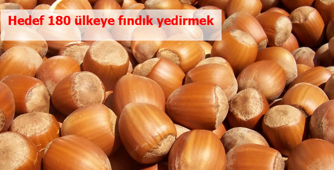Hedef 180 ülkeye fındık yedirmek