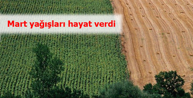 Mart yağışları hayat verdi