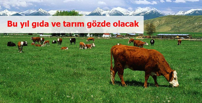 Satın alma ve birleşmelerde gıda ve tarım başı çekecek