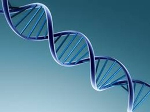 Türkiye'nin "ilk" genetik test analizleri yapılacak