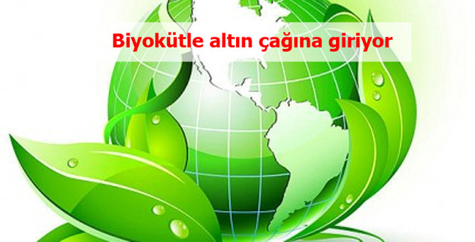 Biyokütle altın çağına giriyor