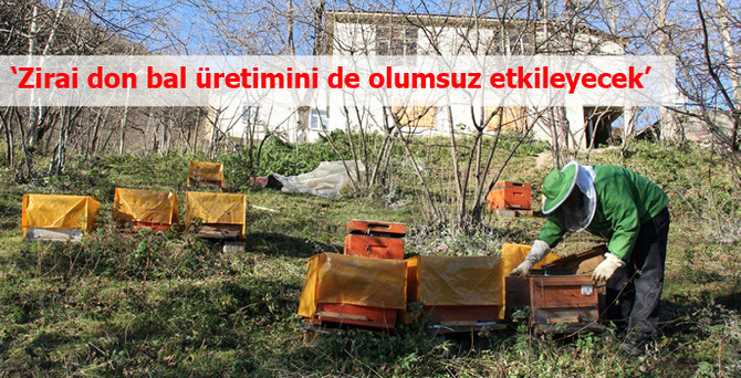 'Zirai don bal üretimini de olumsuz etkileyecek'