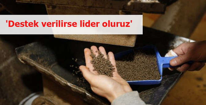 'Destek verilirse lider oluruz'