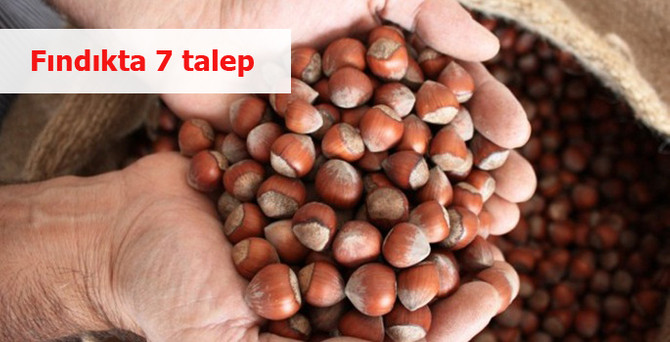 Fındıkta 7 talep