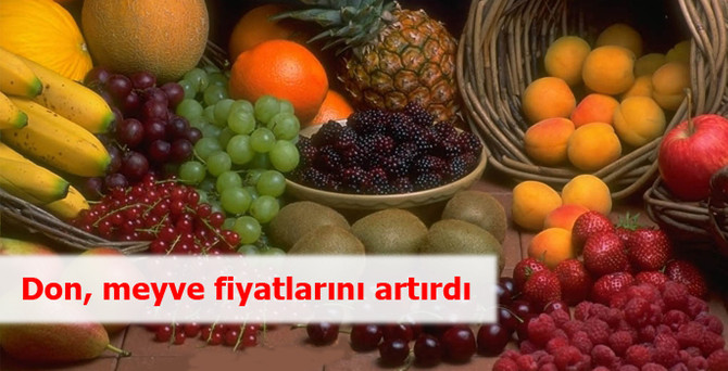 Don, meyve fiyatlarını artırdı
