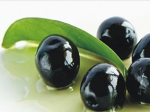 Zeytin rekoltesi ve zeytinyağı üretiminde bolluk beklentisi