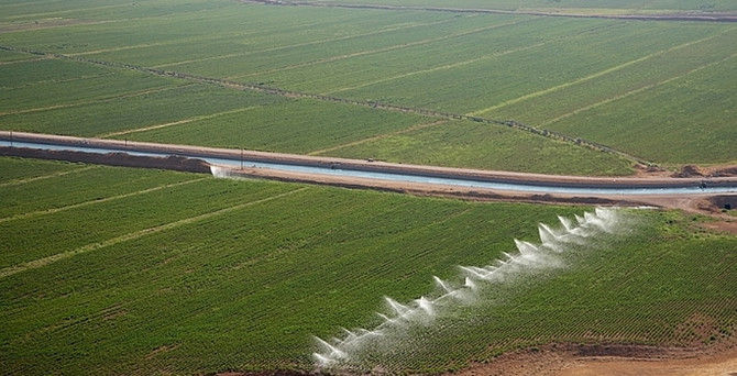 Yağışlar, GAP çiftçisini umutlandırdı
