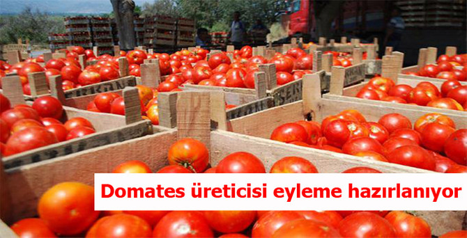 Domates üreticisi eyleme hazırlanıyor