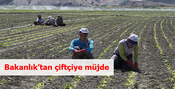 Bakanlık'tan çiftçiye müjde