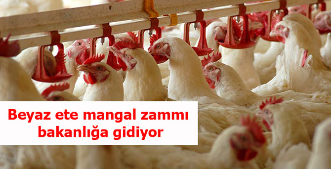 Beyaz ete mangal zammı bakanlığa gidiyor
