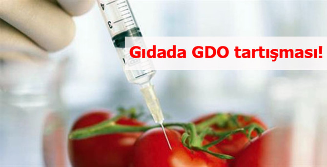 Gıdada GDO tartışması