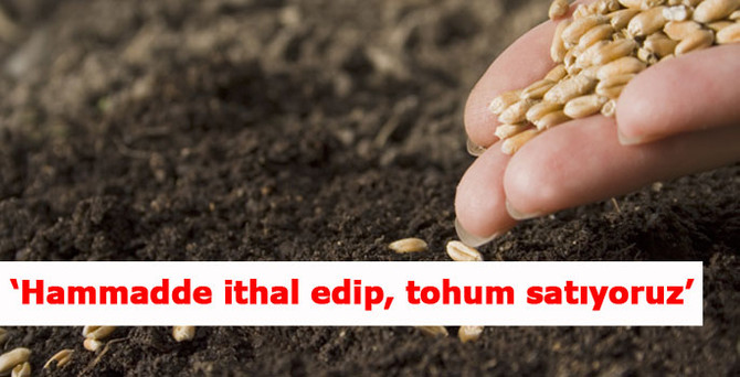 ‘Hammadde ithal edip, tohum satıyoruz’