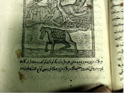 Nadir el yazmasına 150 bin lira