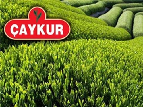 ÇAYKUR'un 9 ürününe uluslararası ödül