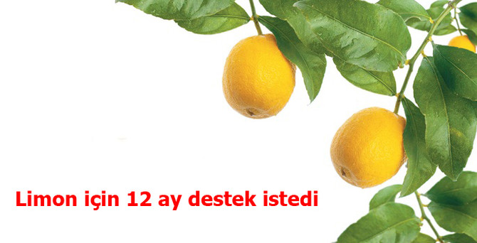 Limon için 12 ay destek istedi