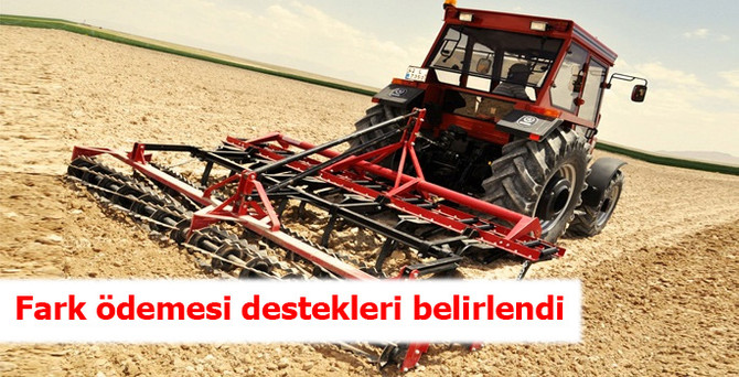Fark ödemesi destekleri belirlendi
