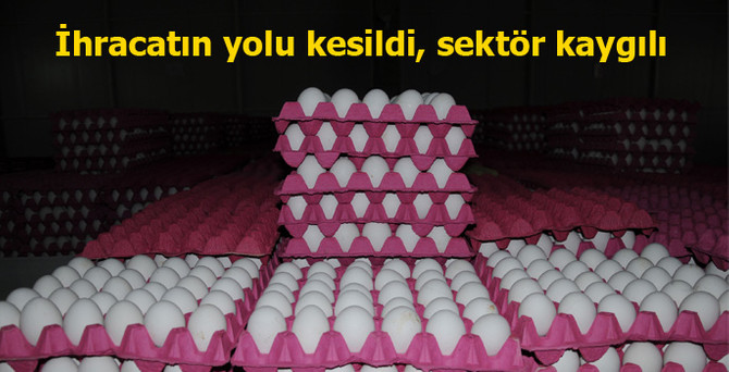 İhracatın yolu kesildi, sektör kaygılı