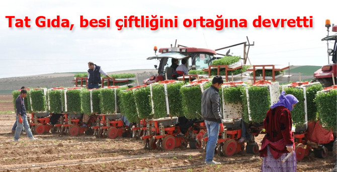 Tat Gıda, Harranova Besi Çiftliği'ni ABD'li ortağına sattı