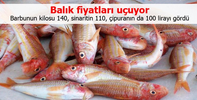 Balık fiyatları uçuyor