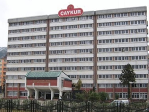 ÇAYKUR'da ilk "stevya" hasadı yapıldı