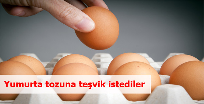 Yumurta tozuna teşvik istediler