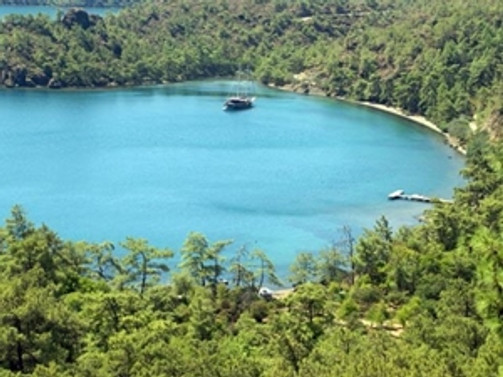 SİT alanları internet üzerinden takip edilebilecek