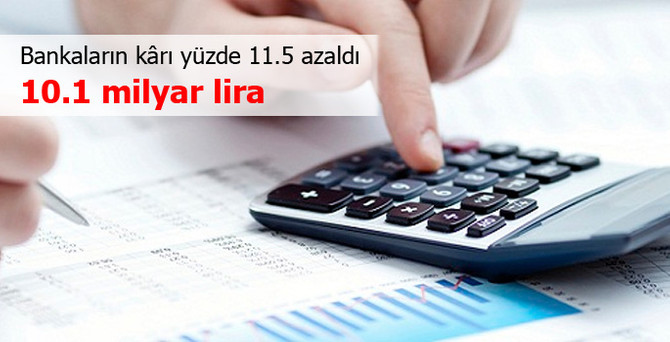 Bankaların net kârı yüzde 11.5 azaldı