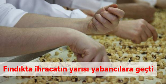 Fındıkta ihracatın yarısı yabancılara geçti