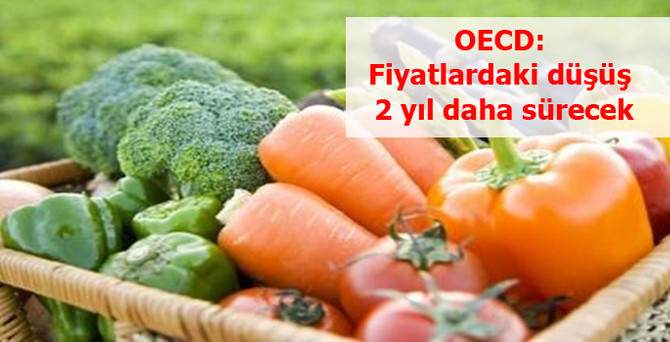 OECD: Tarım fiyatlarındaki düşüş 2 yıl daha sürecek