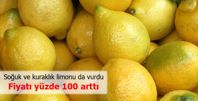 Limon fiyatları yüzde 100 arttı