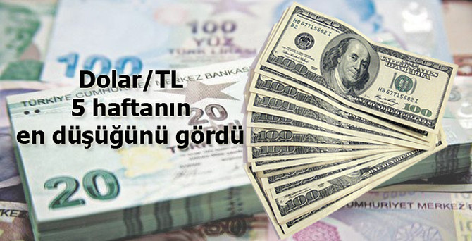 Dolar, 5 haftanın en düşüğünü gördü
