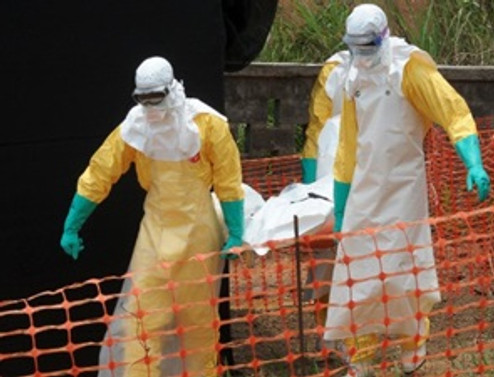 Ebola salgını 729 can aldı