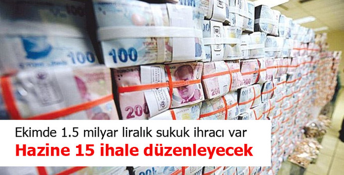 Hazine 15 ihale düzenleyecek