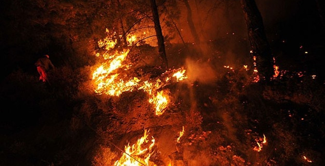 Muğla'da orman yangını