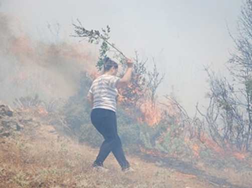 Muğla'da korkutan orman yangını