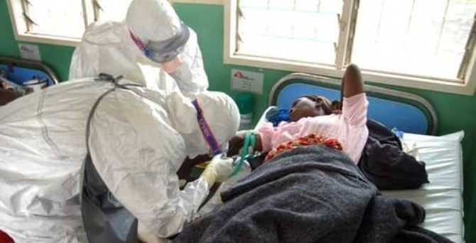Ebola virüsü için tedavi yöntemi arıyor!