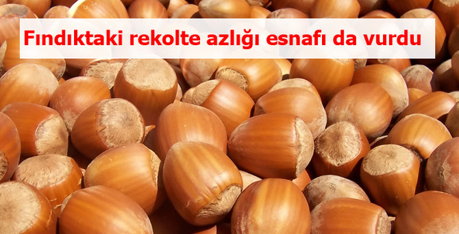 Fındıktaki rekolte azlığı esnafı da vurdu
