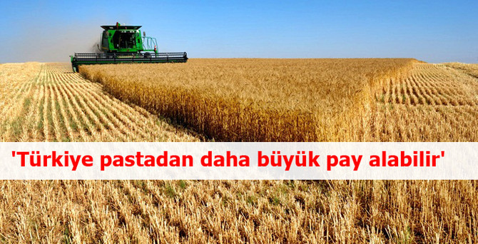 'Dışa bağımlı olan ülkelerin akıllarına Türkiye geliyor'