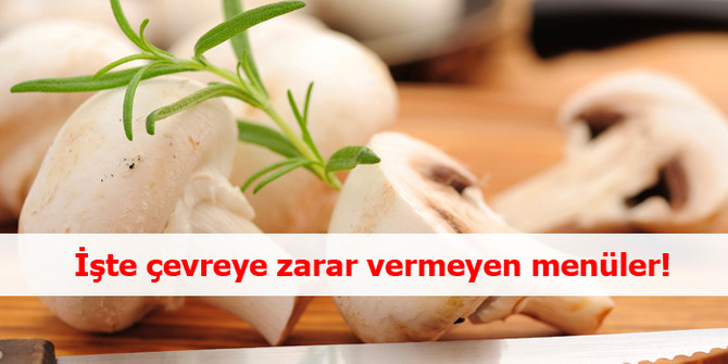 İşte çevreye zarar vermeyen menüler!