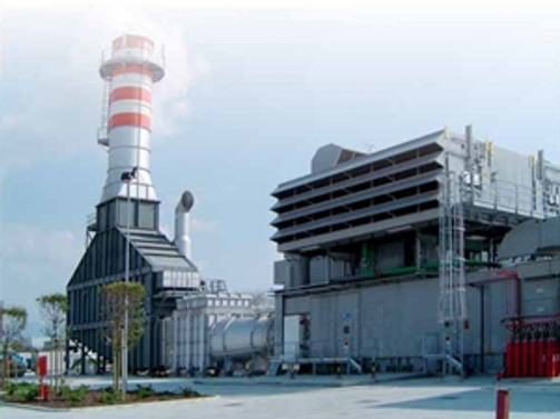 Park Elektrik doğalgaz santrali projelerini durdurdu