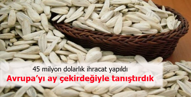 Avrupa'ya 45 milyon dolarlık ay çekirdeği yapıldı