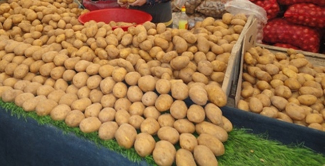 'Patatesin fiyatı yarı yarıya düşecek'