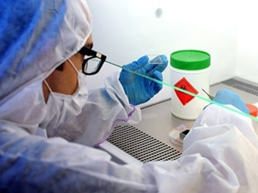 Ebola tedavisinde olumlu cevap