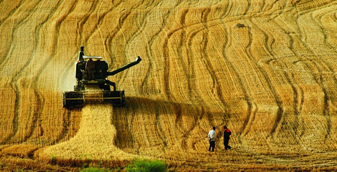 20 kadından 19'u, 20 erkekten 15'inin kayıt dışı çalışıyor